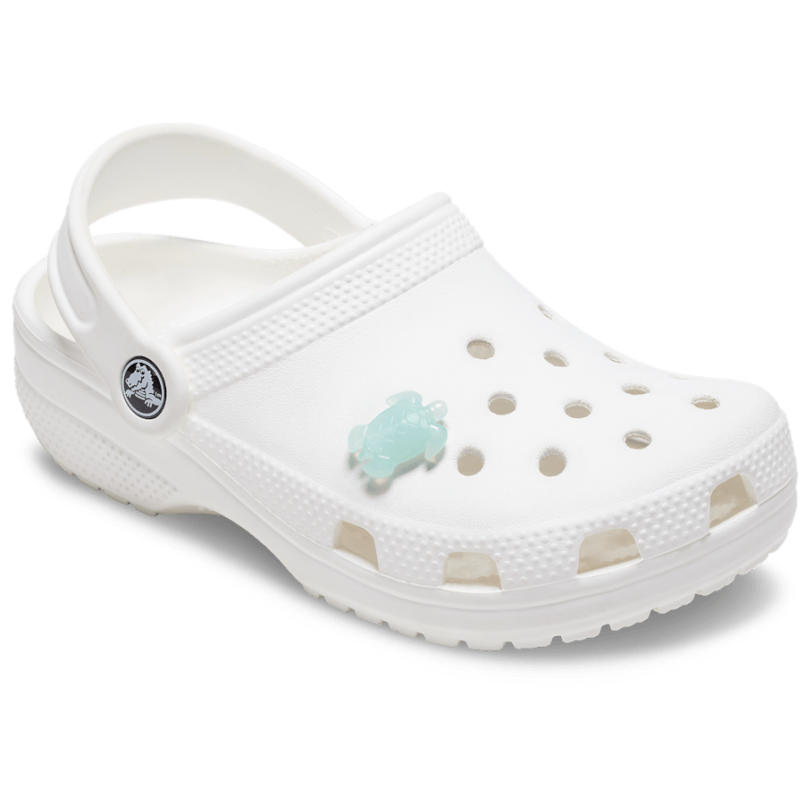 Light Blue Turtle - Image 3