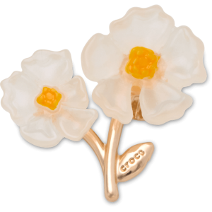 White Floral Blossom