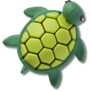 3D UV Changing Turtle